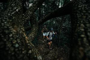 BIB: 
                            <button type="button" onclick="openModal(25689880)" class="btn btn-primary btn-sm float-right btn-popup" data-toggle="modal" data-target=".modal-high-quality">
                        <i class="fas fa-shopping-cart"></i> Add to Cart
                    </button>
                                            <button type="button" onclick="isThisMe(25689880, true)" class="btn btn-success btn-sm float-right btn-popup btn-isme hidden" data-toggle="tooltip" data-placement="bottom" title="นี่คือรูปของคุณใช่ไหม คลิกที่นี่เพื่อเอาเข้าอัลบั้ม">
                        <i class="fas fa-plus"></i> Add to album
                    </button>
                    <button type="button" onclick="isThisMe(25689880, false)" class="btn btn-warning btn-sm float-right btn-popup btn-isnotme hidden">
                        <i class="fas fa-ban"></i> Remove from album
                    </button>